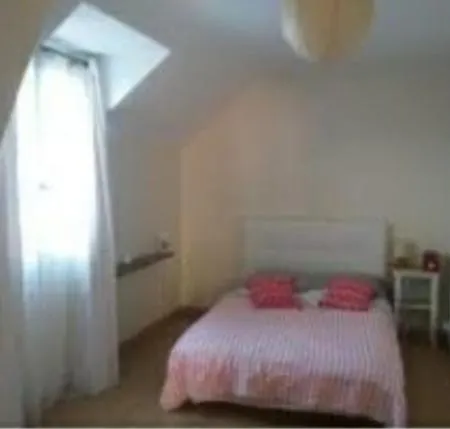 Appartement spacieux et lumineux Oloron-Sainte-Marie Extérieur photo